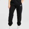 Pantalon de jogging oversize AYBL Sports Club