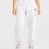 Pantalon de jogging oversize AYBL Sports Club