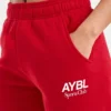 Pantalon de jogging oversize AYBL Sports Club