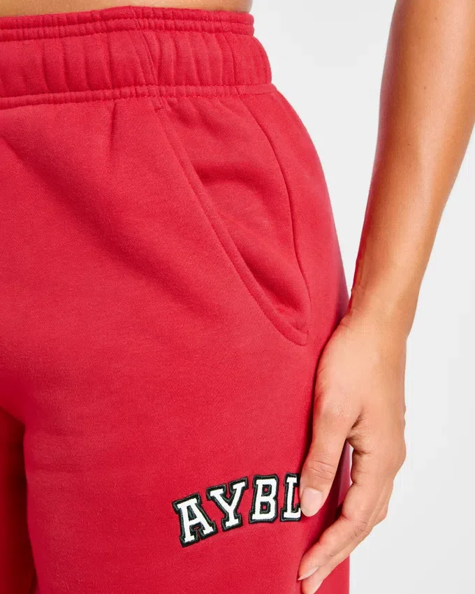 Pantalon de jogging oversize à jambes droites Varsity 2.0