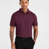 Polo Precision