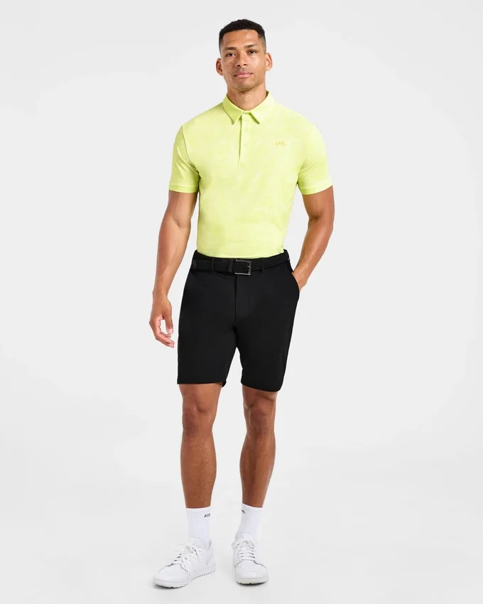 Polo Precision Static