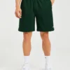 Short Rebound Shorts