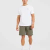 Short Rebound Shorts