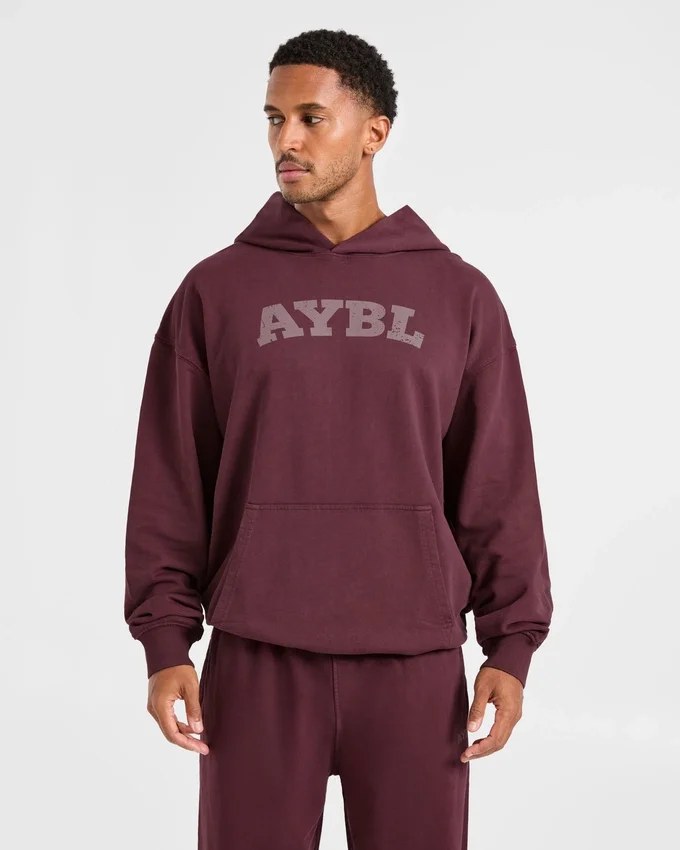 Sweat à capuche Elite