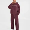 Sweat à capuche Elite