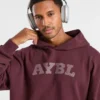 Sweat à capuche Elite