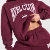 Sweat à capuche oversize AYBL Club