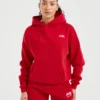 Sweat à capuche oversize AYBL Sports Club