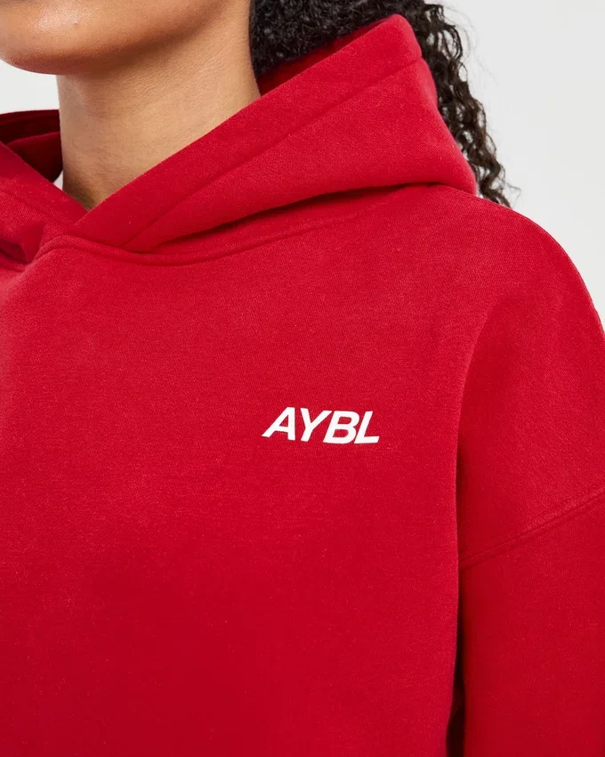 Sweat à capuche oversize AYBL Sports Club