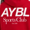 Sweat à capuche oversize AYBL Sports Club