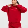 Sweat à capuche oversize AYBL Sports Club