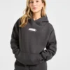 Sweat à capuche oversize Sports Essentials