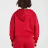 Sweat à capuche zippé oversize Lifestyle