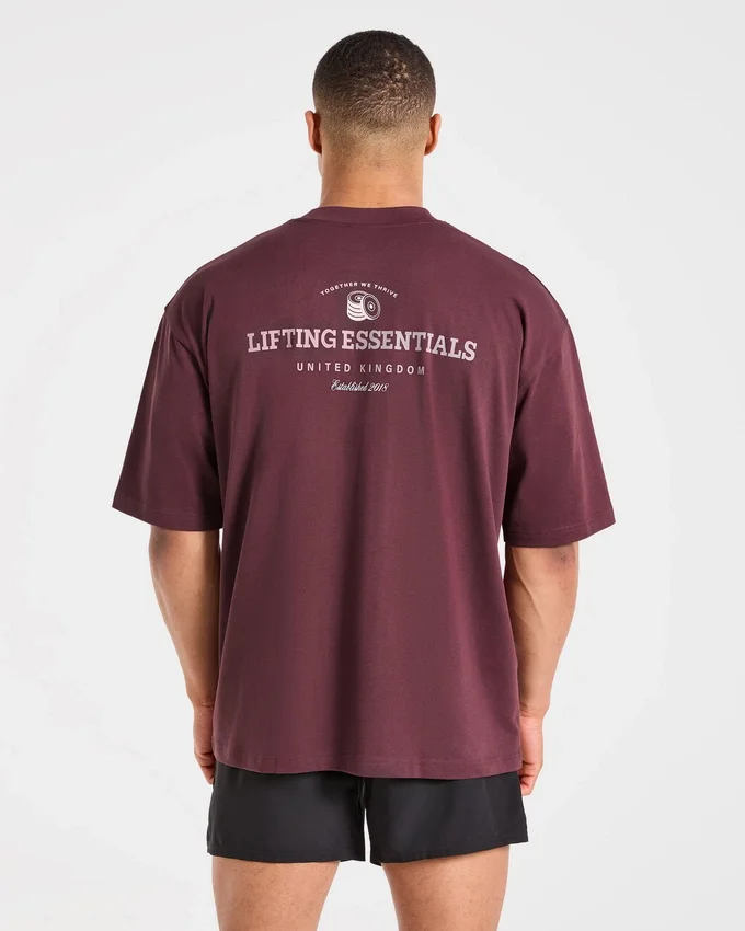 T-shirt oversize Apex Lifting Essential