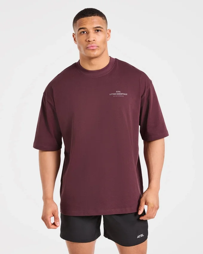 T-shirt oversize Apex Lifting Essential
