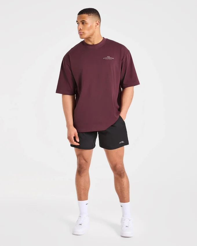 T-shirt oversize Apex Lifting Essential