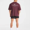 T-shirt oversize Apex Lifting Essential
