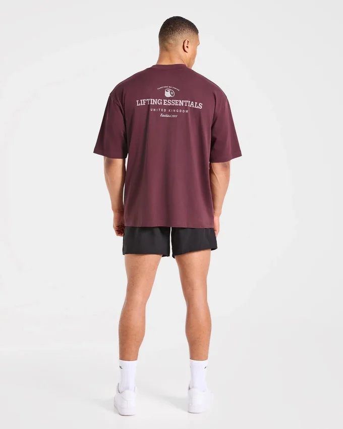 T-shirt oversize Apex Lifting Essential