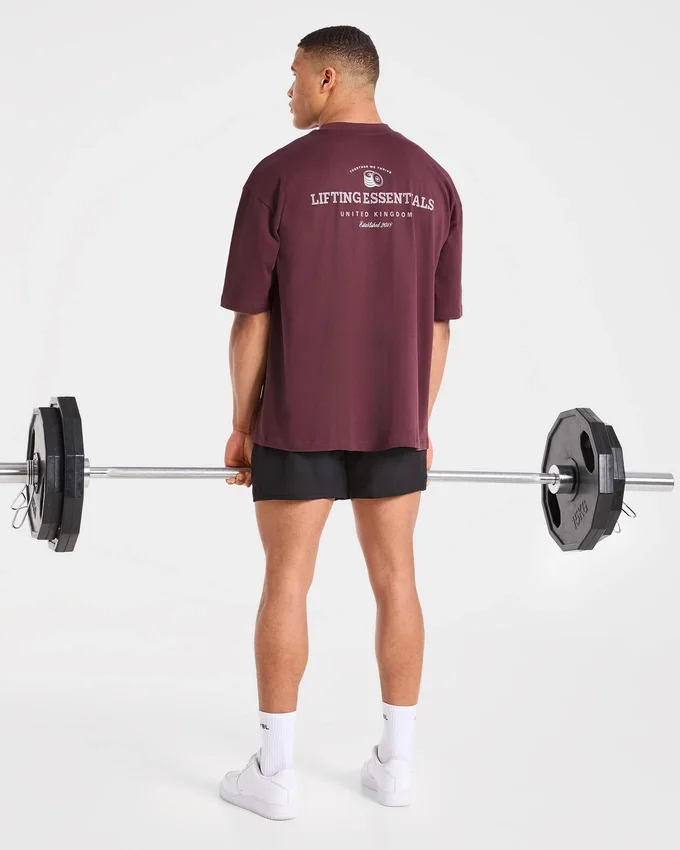 T-shirt oversize Apex Lifting Essential