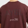 T-shirt oversize AYBL Athletics