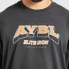 T-shirt oversize AYBL Elite Iron