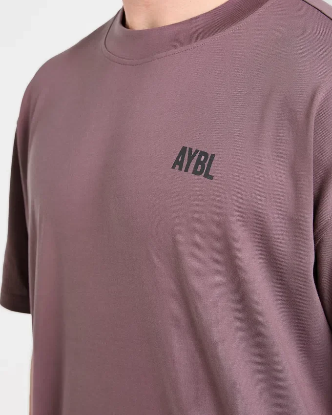 T-shirt oversize AYBL Iron Club