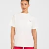T-shirt oversize AYBL Lift Lodge