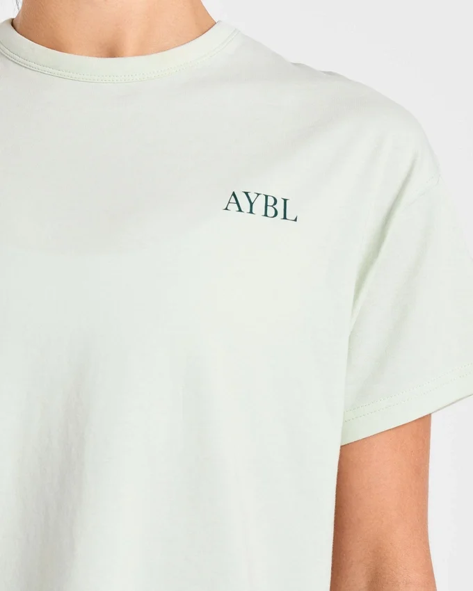 T-shirt oversize « AYBL Sports Club Script »